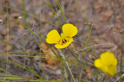 DSC_6898 (Large).JPG